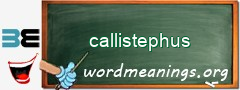 WordMeaning blackboard for callistephus